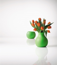Rubber Vase Modern Home Design in Denver Colorado