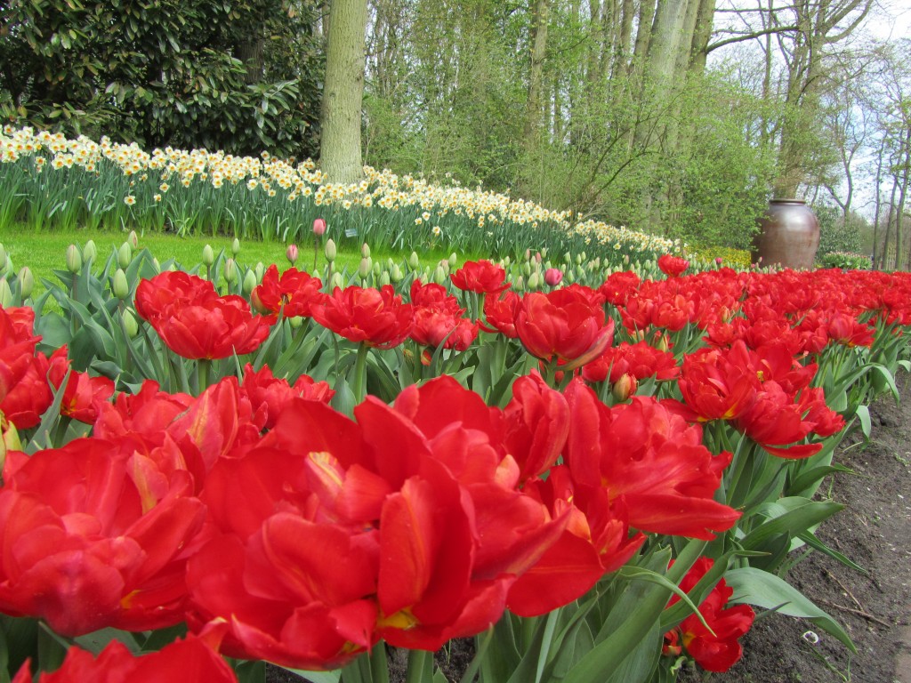 Garden Design
