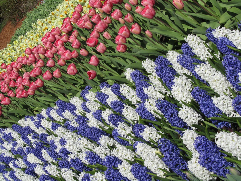 Garden Design Ideas