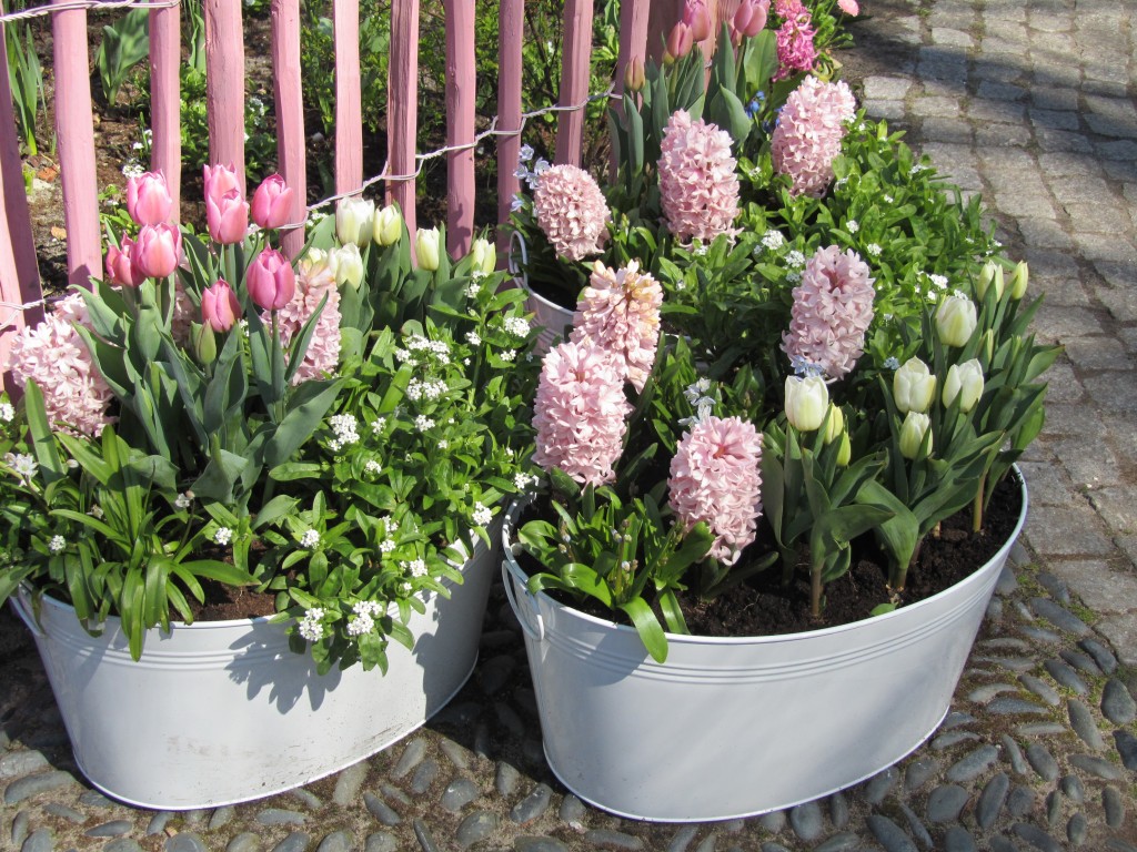 Garden Design Inspiration