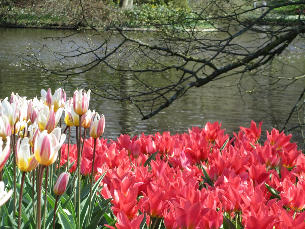 European Garden Design