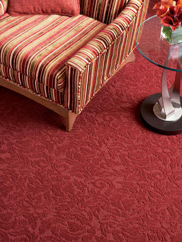 Stainmaster Bold Inteiror Design Choices