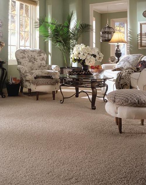 plush-and-frieze-carpets Interior Decorator Tips