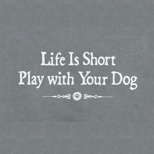 Life is Short, Play with your Dog